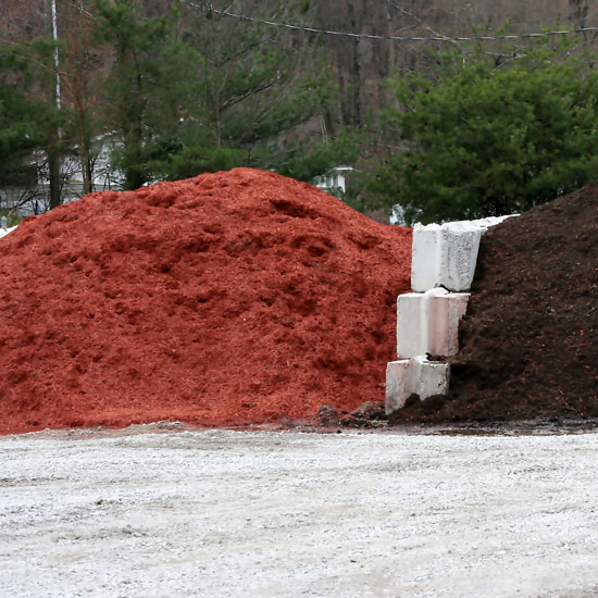 Store-bought mulch is almost always a chipped or shredded redwood. It is a warm sienna color for a time and then fades into a sun-washed grey brown. My mulch is free and it is never a warm sienna color, nor of a homogenous texture. Instead, it is a mixture of browns and greens and has a variety of textures because it comes from the tree-trimming companies that work in my town.